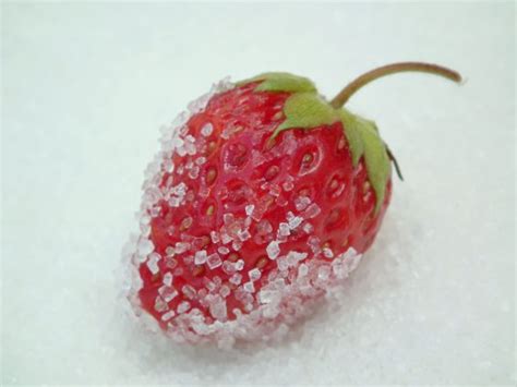 Free Images Fruit Berry Sweet Flower Food Red Produce Closeup