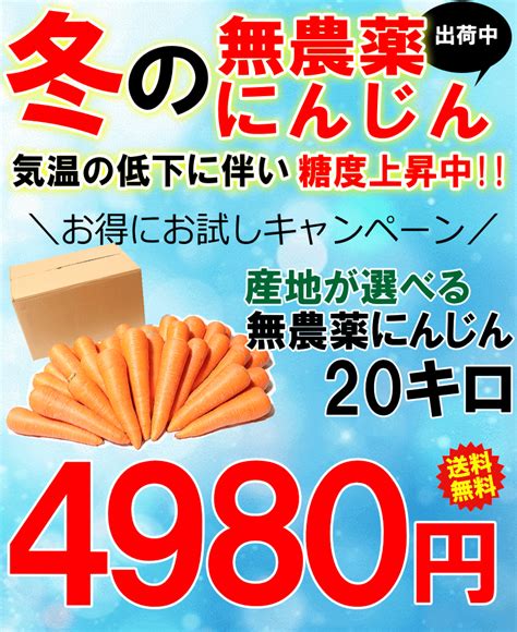 【楽天市場】【あす楽】産地が選べる無農薬にんじん20キロ【送料無料】冬の高糖度にんじん★無農薬 無化学肥料ジュース用 酵素 にんじん 20キロ