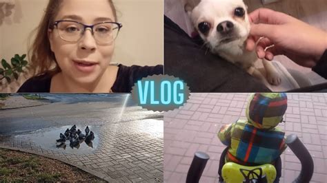 Vlog mały up date tygodnia słodziak trochę aktywności nie zaszkodzi