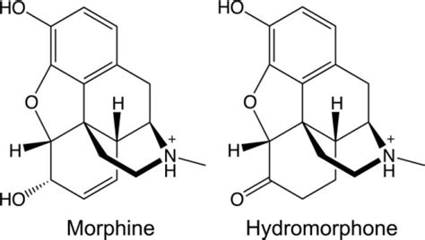 Molecular Structures Of Morphine And Hydromorphone Open I