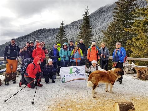 Excursie Munte Cabana Curmatura Oxigentour Ro