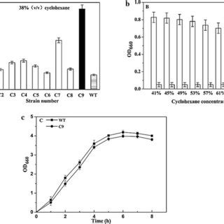 Colony Formation Efficiency Of Various E Coli Knockout And