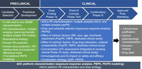 Clinical Pharmacology Strategies In Supporting Drug Development And