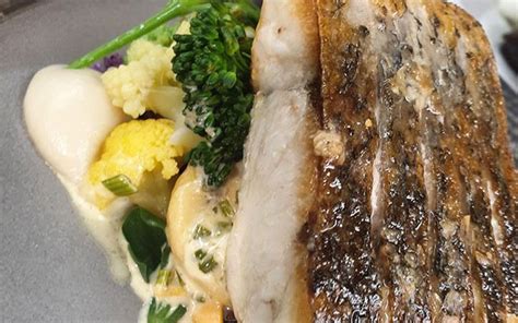 Pan Roasted Aegean Stone Bass Sailbrand