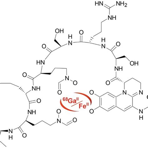 The chemical structure of Fe ⁶⁸Ga Pyoverdine PAO1 PVD PAO1