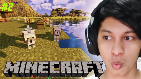 Mencari Hewan Peliharaan Minecraft Survival Indonesia YouTube