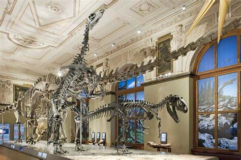 LED light: Dinosaur Hall at the Museum of Natural History Vienna ...