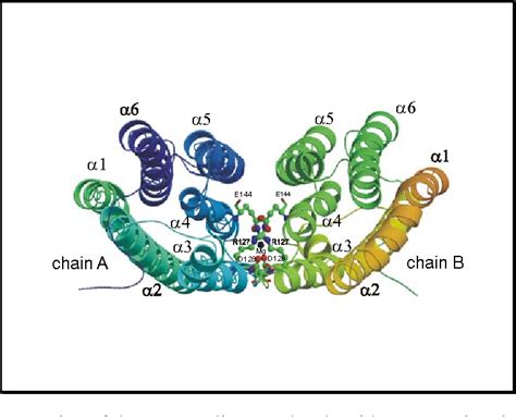 Figure From Structure Of The N Terminal Domain Of The Adenylyl