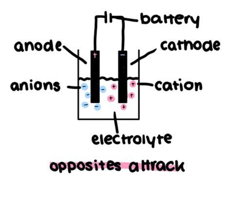 C6 Electrolysis Flashcards Quizlet