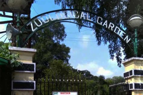 Alipore Zoo, India’s Oldest Zoological Garden, Celebrates 150 Years ...