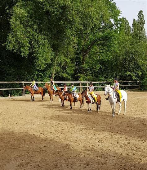 Training And Riding Certification L De Rham Equitation