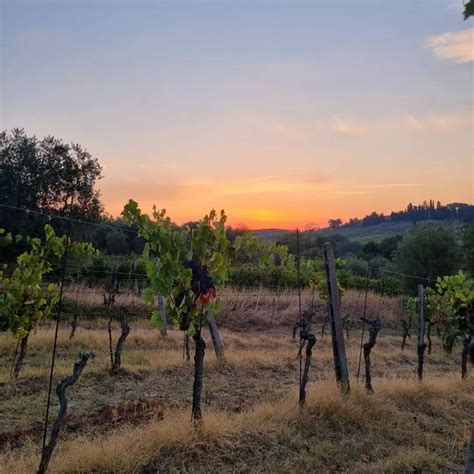 Flavors Of Calabria And Tuscany Cooking Class Of Traditions Cesarine