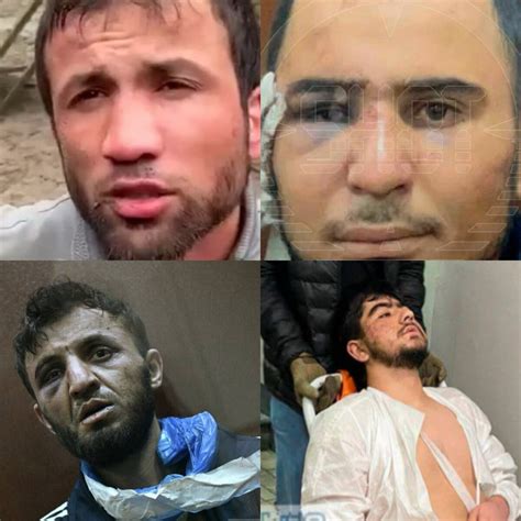 Все арестованы: суд вынес решение в отношении четверых террористов ...