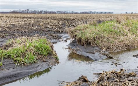 Preserving the Future: Unveiling Alarming Soil Erosion Rates in Dakoa