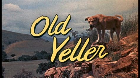 Old Yeller - Classic Disney Image (9902558) - Fanpop