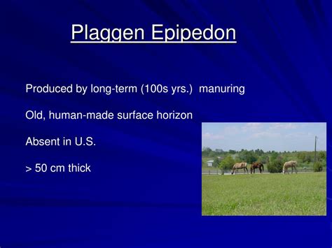 Ppt Soil Morphology And Classification Powerpoint Presentation Free