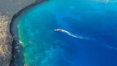 Molokini Crater Snorkeling - This Hawaii Life