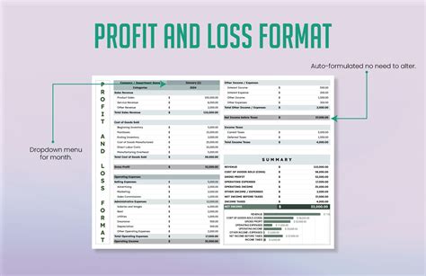 Profit and Loss Format Template | Template.net
