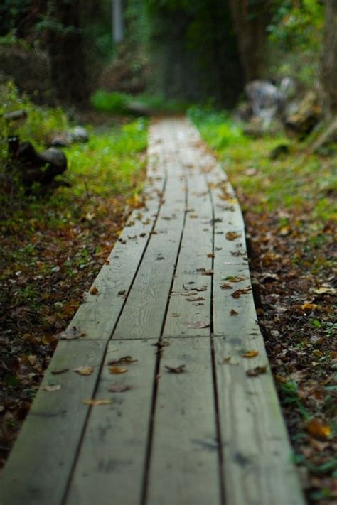 Wallpaper Wooden Path Leaves Blurry 1920x1200 Hd Picture Image