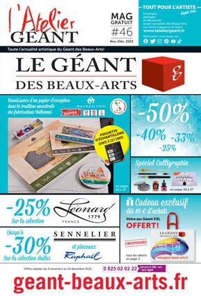 Le G Ant Des Beaux Arts Blagnac Promotions Du Catalogue