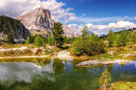 Royalty Free Photo Body Of Water Near Green Leaf Trees In Daytime