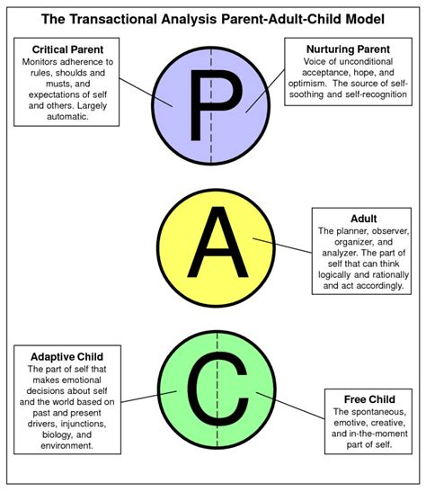 Quick Summary Of Transactional Analysis HubPages