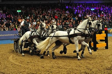 The London International Horse Show Olympia | Show horses, Olympia ...