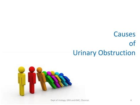 Urinary Obstruction Pathophysiology Ppt