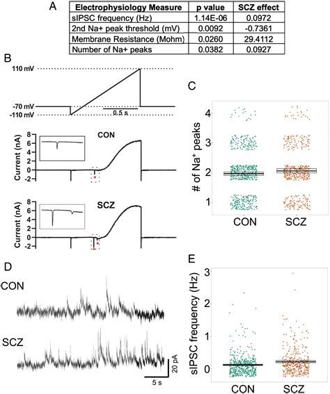 Electrophysiological Measures From Human Ipsc Derived Neurons Are