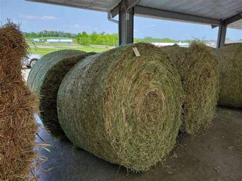 Round Bales St Timothy Alfalfa X Rogers Community