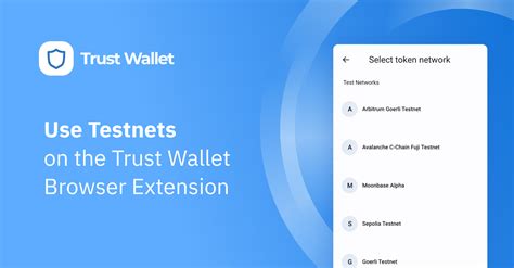 How To Access Testnets In The Trust Wallet Browser Extension How To S