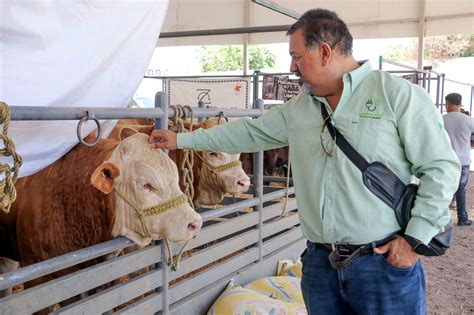 EXPO FERIA GANADERA CORTAZAR REPORTA DERRAMA DE 1 5 MDP Guanajuato