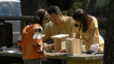 Actividades durante la Semana del Medio Ambiente en Móstoles