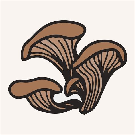 Premium Vector Oyster Mushrooms Vector Illustration Hand Drawn Art Of