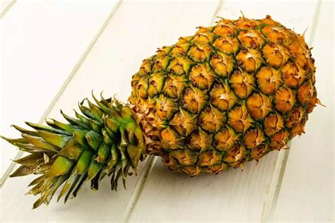 ¿para Qué Sirve La Piña Beneficios Y Propiedades De Esta Fruta Tropical