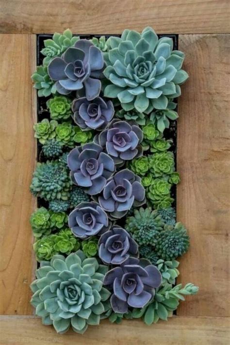 64 Charming Succulent Indoor Garden Ideas 2019 15 Succulent Garden Indoor Succulent Garden