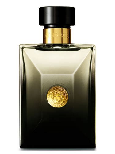 Versace Pour Homme Oud Noir Versace Cologne Un Parfum Pour Homme 2013