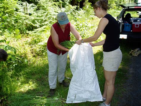 Control Invasive Plants Coastal Invasive Species Committee