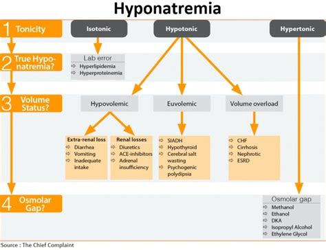 Hyponatremia Vs Hypernatremia Understanding The Differences And The