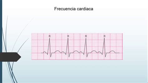 Como Calcular Frequencia Cardiaca Ictedu