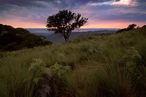 Krantzkloof Nature Reserve Kloof Durban