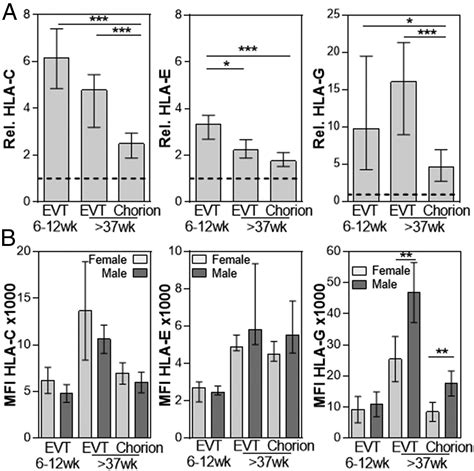 Three Types Of HLA G Extravillous Trophoblasts That Have Distinct