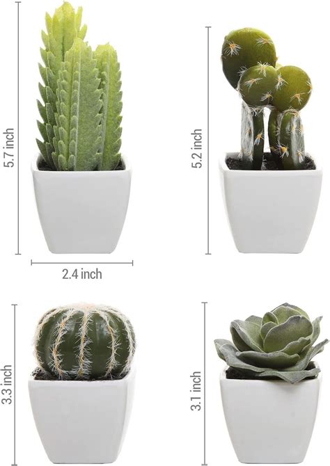 Assorted Miniature Artificial Succulent Cactus Mygift Set Review