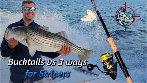 Bucktails Vs 3 Ways For Striped Bass YouTube