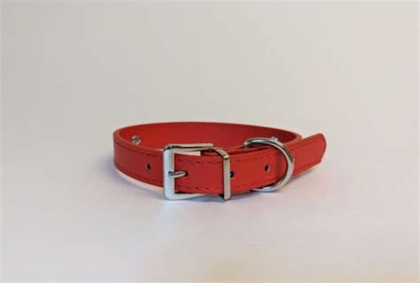 BBC Slut CollarHotwife Kink ChokerCuck BDSM Jewel Sex Collar Vegan Leather EBay