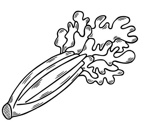 Celery Clip Art Black And White