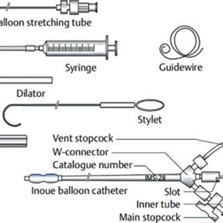 Indications for Percutaneous Mitral Balloon Valvuloplasty [8] | Download Scientific Diagram