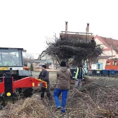 Campanie de colectare gratuită a deșeurilor vegetale la Şag