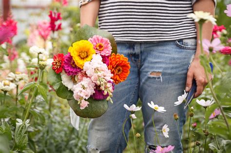 Grow Your Own Flower Bouquets Lyonshall Nurseries And Garden Centre