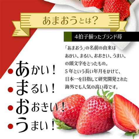 【1月下旬より順次発送】農家直送 朝採り新鮮いちご 【博多あまおう】 約270g×2パック お礼の品のご紹介 福岡県久留米市